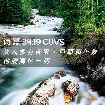 Picture 02 - 诗 篇 34:19 CUVS - 义 人 多 有 苦 难 ， 但 耶 和 华 救 - Bible Verse Picture