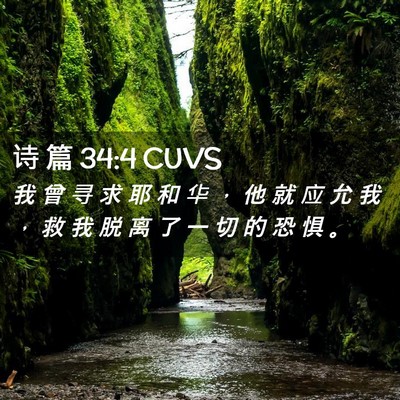 Picture 02 - 诗 篇 34:4 CUVS - 我 曾 寻 求 耶 和 华 ， 他 就 应 允 - Bible Verse Picture