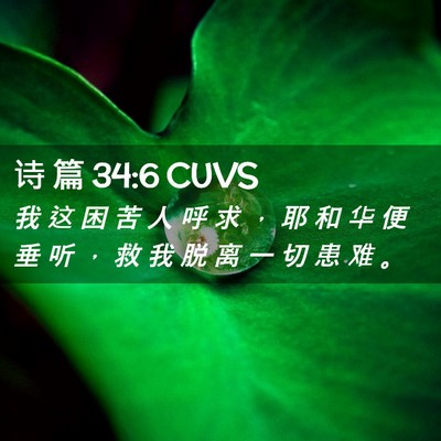 Picture 02 - 诗 篇 34:6 CUVS - 我 这 困 苦 人 呼 求 ， 耶 和 华 便 - Bible Verse Picture