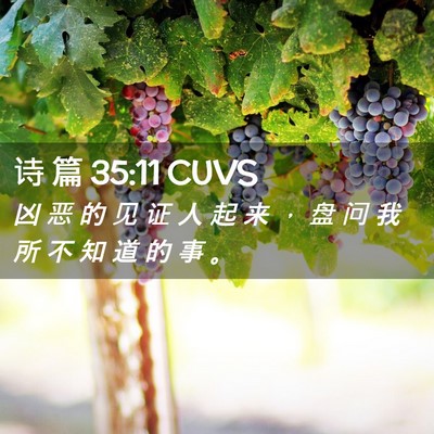 Picture 02 - 诗 篇 35:11 CUVS - 凶 恶 的 见 证 人 起 来 ， 盘 问 我 - Bible Verse Picture
