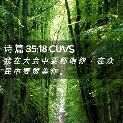 Picture 02 - 诗 篇 35:18 CUVS - 我 在 大 会 中 要 称 谢 你 ， 在 众 - Bible Verse Picture