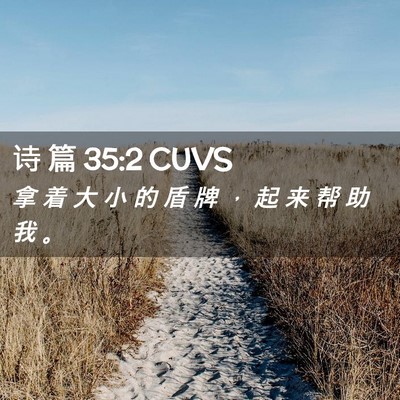 Picture 02 - 诗 篇 35:2 CUVS - 拿 着 大 小 的 盾 牌 ， 起 来 帮 助 - Bible Verse Picture