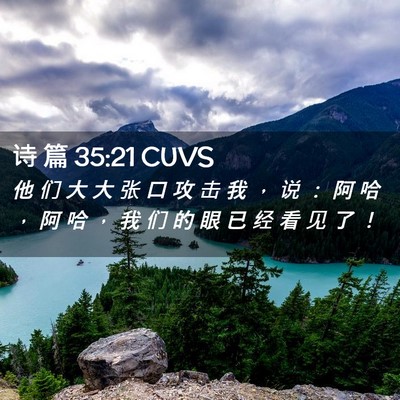 Picture 02 - 诗 篇 35:21 CUVS - 他 们 大 大 张 口 攻 击 我 ， 说 ： - Bible Verse Picture