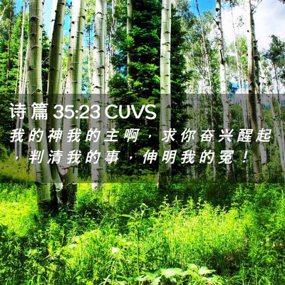 Picture 02 - 诗 篇 35:23 CUVS - 我 的 神 我 的 主 啊 ， 求 你 奋 兴 - Bible Verse Picture