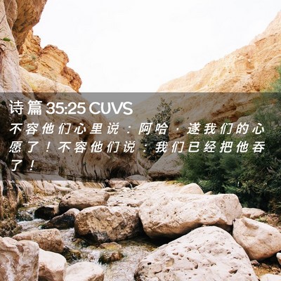 Picture 02 - 诗 篇 35:25 CUVS - 不 容 他 们 心 里 说 ： 阿 哈 ， 遂 - Bible Verse Picture