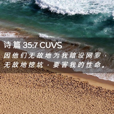 Picture 02 - 诗 篇 35:7 CUVS - 因 他 们 无 故 地 为 我 暗 设 网 罗 - Bible Verse Picture