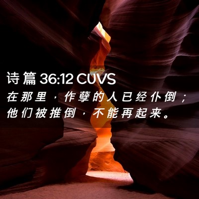 Picture 02 - 诗 篇 36:12 CUVS - 在 那 里 ， 作 孽 的 人 已 经 仆 倒 - Bible Verse Picture