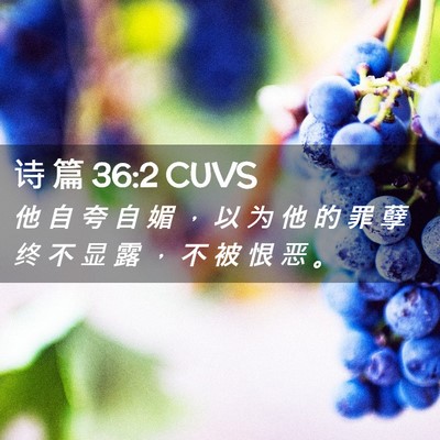 Picture 02 - 诗 篇 36:2 CUVS - 他 自 夸 自 媚 ， 以 为 他 的 罪 孽 - Bible Verse Picture