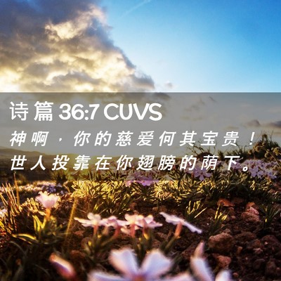 Picture 02 - 诗 篇 36:7 CUVS - 神 啊 ， 你 的 慈 爱 何 其 宝 贵 ！ - Bible Verse Picture