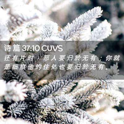 Picture 02 - 诗 篇 37:10 CUVS - 还 有 片 时 ， 恶 人 要 归 於 无 有 - Bible Verse Picture