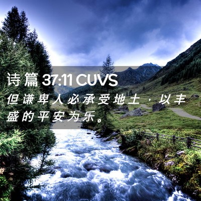 Picture 02 - 诗 篇 37:11 CUVS - 但 谦 卑 人 必 承 受 地 土 ， 以 丰 - Bible Verse Picture