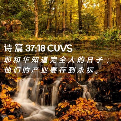 Picture 02 - 诗 篇 37:18 CUVS - 耶 和 华 知 道 完 全 人 的 日 子 ； - Bible Verse Picture