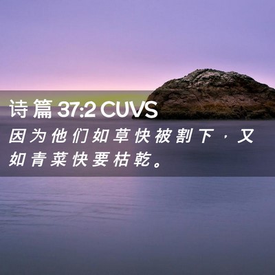 Picture 02 - 诗 篇 37:2 CUVS - 因 为 他 们 如 草 快 被 割 下 ， 又 - Bible Verse Picture