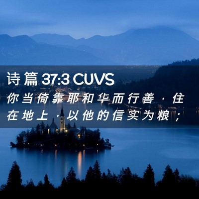 Picture 02 - 诗 篇 37:3 CUVS - 你 当 倚 靠 耶 和 华 而 行 善 ， 住 - Bible Verse Picture