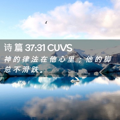 Picture 02 - 诗 篇 37:31 CUVS - 神 的 律 法 在 他 心 里 ； 他 的 脚 - Bible Verse Picture