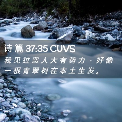 Picture 02 - 诗 篇 37:35 CUVS - 我 见 过 恶 人 大 有 势 力 ， 好 像 - Bible Verse Picture