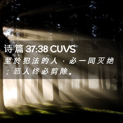 Picture 02 - 诗 篇 37:38 CUVS - 至 於 犯 法 的 人 ， 必 一 同 灭 绝 - Bible Verse Picture