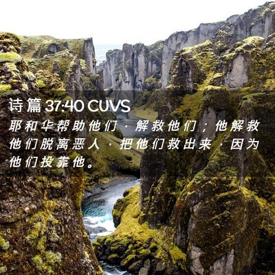 Picture 02 - 诗 篇 37:40 CUVS - 耶 和 华 帮 助 他 们 ， 解 救 他 们 - Bible Verse Picture