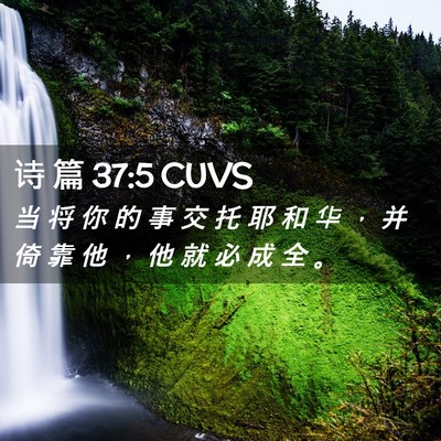 Picture 02 - 诗 篇 37:5 CUVS - 当 将 你 的 事 交 托 耶 和 华 ， 并 - Bible Verse Picture
