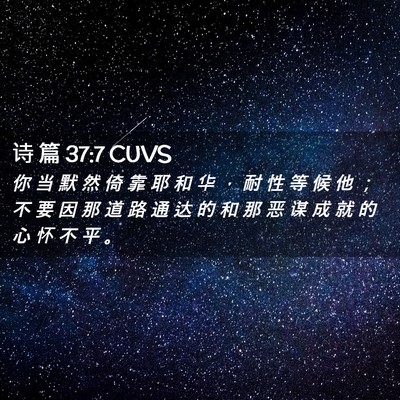 Picture 02 - 诗 篇 37:7 CUVS - 你 当 默 然 倚 靠 耶 和 华 ， 耐 性 - Bible Verse Picture