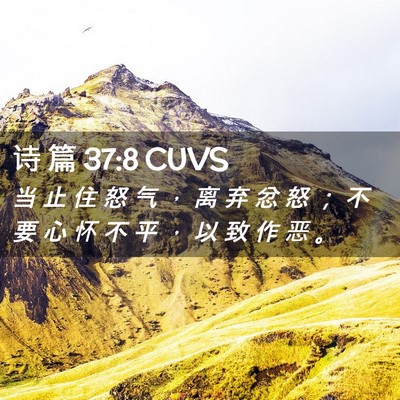 Picture 02 - 诗 篇 37:8 CUVS - 当 止 住 怒 气 ， 离 弃 忿 怒 ； 不 - Bible Verse Picture