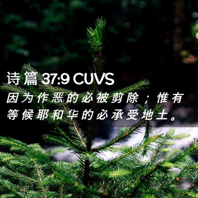 Picture 02 - 诗 篇 37:9 CUVS - 因 为 作 恶 的 必 被 剪 除 ； 惟 有 - Bible Verse Picture