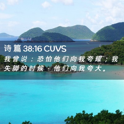 Picture 02 - 诗 篇 38:16 CUVS - 我 曾 说 ： 恐 怕 他 们 向 我 夸 耀 - Bible Verse Picture