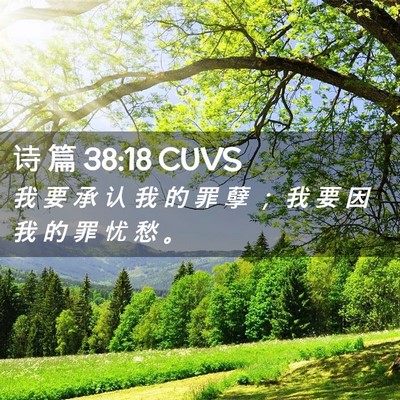 Picture 02 - 诗 篇 38:18 CUVS - 我 要 承 认 我 的 罪 孽 ； 我 要 因 - Bible Verse Picture
