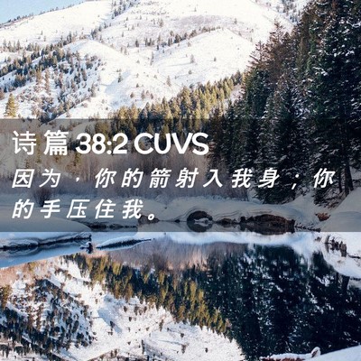 Picture 02 - 诗 篇 38:2 CUVS - 因 为 ， 你 的 箭 射 入 我 身 ； 你 - Bible Verse Picture