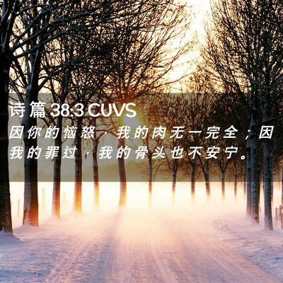 Picture 02 - 诗 篇 38:3 CUVS - 因 你 的 恼 怒 ， 我 的 肉 无 一 完 - Bible Verse Picture