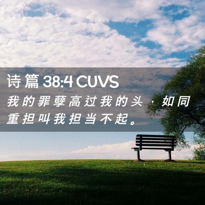 Picture 02 - 诗 篇 38:4 CUVS - 我 的 罪 孽 高 过 我 的 头 ， 如 同 - Bible Verse Picture