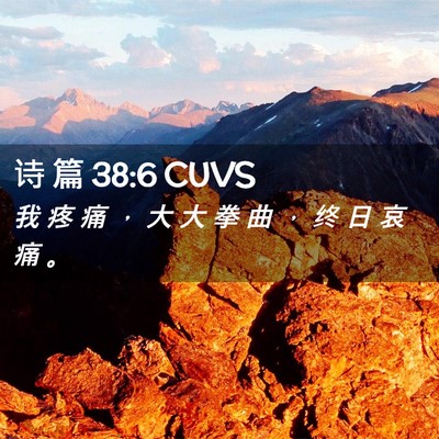 Picture 02 - 诗 篇 38:6 CUVS - 我 疼 痛 ， 大 大 拳 曲 ， 终 日 哀 - Bible Verse Picture