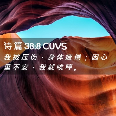 Picture 02 - 诗 篇 38:8 CUVS - 我 被 压 伤 ， 身 体 疲 倦 ； 因 心 - Bible Verse Picture
