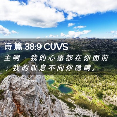 Picture 02 - 诗 篇 38:9 CUVS - 主 啊 ， 我 的 心 愿 都 在 你 面 前 - Bible Verse Picture