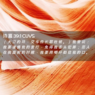 Picture 02 - 诗 篇 39:1 CUVS - （ 大 卫 的 诗 ， 交 与 伶 长 耶 杜 - Bible Verse Picture