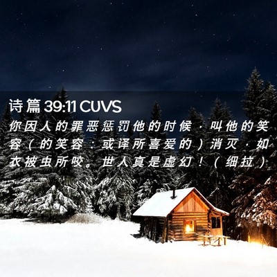 Picture 02 - 诗 篇 39:11 CUVS - 你 因 人 的 罪 恶 惩 罚 他 的 时 候 - Bible Verse Picture