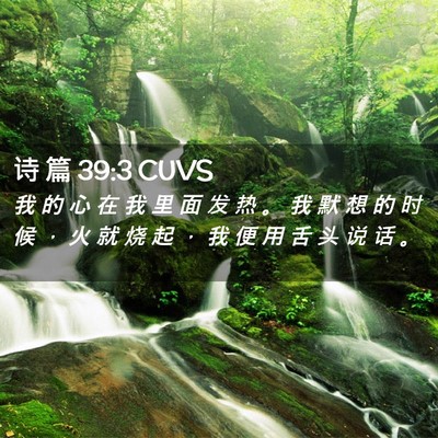 Picture 02 - 诗 篇 39:3 CUVS - 我 的 心 在 我 里 面 发 热 。 我 默 - Bible Verse Picture