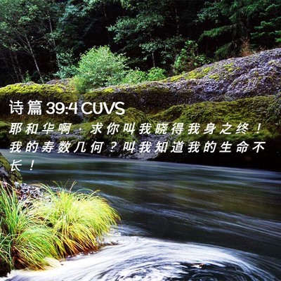 Picture 02 - 诗 篇 39:4 CUVS - 耶 和 华 啊 ， 求 你 叫 我 晓 得 我 - Bible Verse Picture