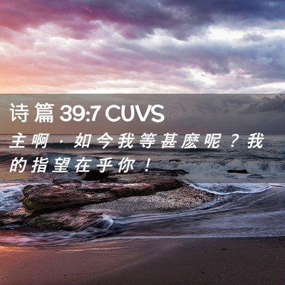 Picture 02 - 诗 篇 39:7 CUVS - 主 啊 ， 如 今 我 等 甚 麽 呢 ？ 我 - Bible Verse Picture
