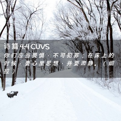 Picture 02 - 诗 篇 4:4 CUVS - 你 们 应 当 畏 惧 ， 不 可 犯 罪 ； - Bible Verse Picture