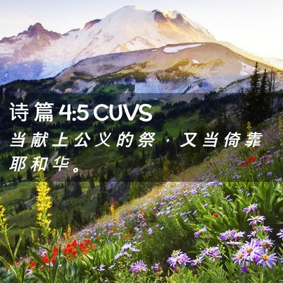 Picture 02 - 诗 篇 4:5 CUVS - 当 献 上 公 义 的 祭 ， 又 当 倚 靠 - Bible Verse Picture