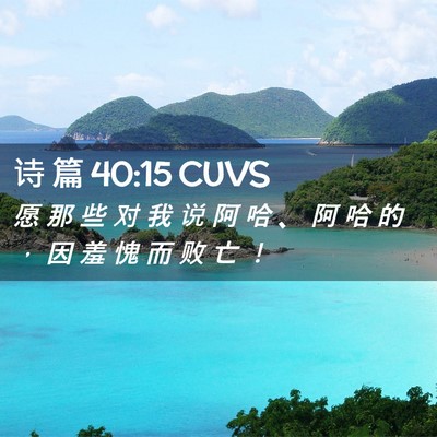 Picture 02 - 诗 篇 40:15 CUVS - 愿 那 些 对 我 说 阿 哈 、 阿 哈 的 - Bible Verse Picture