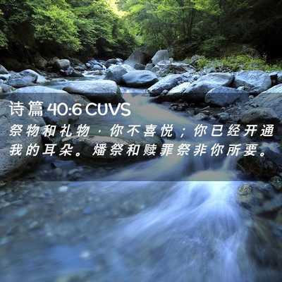 Picture 02 - 诗 篇 40:6 CUVS - 祭 物 和 礼 物 ， 你 不 喜 悦 ； 你 - Bible Verse Picture