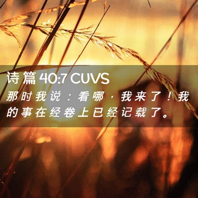 Picture 02 - 诗 篇 40:7 CUVS - 那 时 我 说 ： 看 哪 ， 我 来 了 ！ - Bible Verse Picture