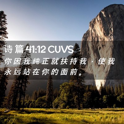 Picture 02 - 诗 篇 41:12 CUVS - 你 因 我 纯 正 就 扶 持 我 ， 使 我 - Bible Verse Picture
