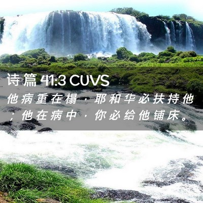 Picture 02 - 诗 篇 41:3 CUVS - 他 病 重 在 榻 ， 耶 和 华 必 扶 持 - Bible Verse Picture
