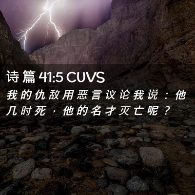 Picture 02 - 诗 篇 41:5 CUVS - 我 的 仇 敌 用 恶 言 议 论 我 说 ： - Bible Verse Picture