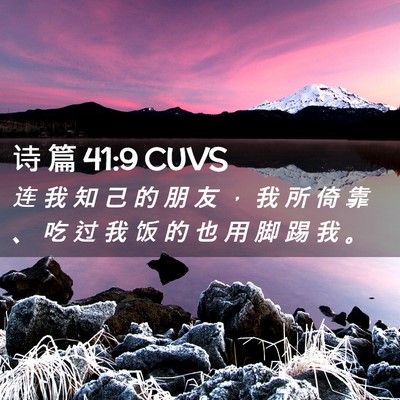 Picture 02 - 诗 篇 41:9 CUVS - 连 我 知 己 的 朋 友 ， 我 所 倚 靠 - Bible Verse Picture