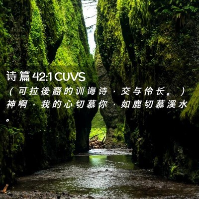 Picture 02 - 诗 篇 42:1 CUVS - （ 可 拉 後 裔 的 训 诲 诗 ， 交 与 - Bible Verse Picture