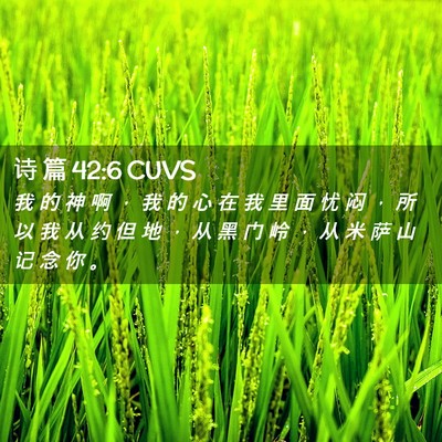 Picture 02 - 诗 篇 42:6 CUVS - 我 的 神 啊 ， 我 的 心 在 我 里 面 - Bible Verse Picture